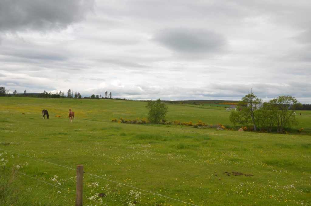 Land for sale in Rashcrook, Birnie, Elgin, Moray IV30, £80,000