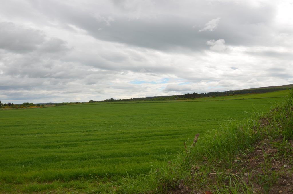 Land for sale in Rashcrook, Birnie, Elgin, Moray IV30, £80,000