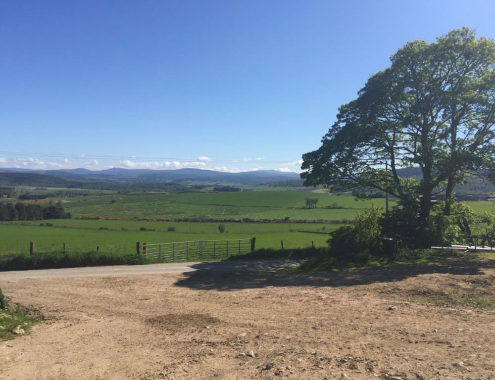 Land for sale in Lumphanan, Banchory AB31, £180,000