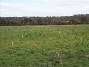 Land for sale in Keston, Bromley BR2, £6,900