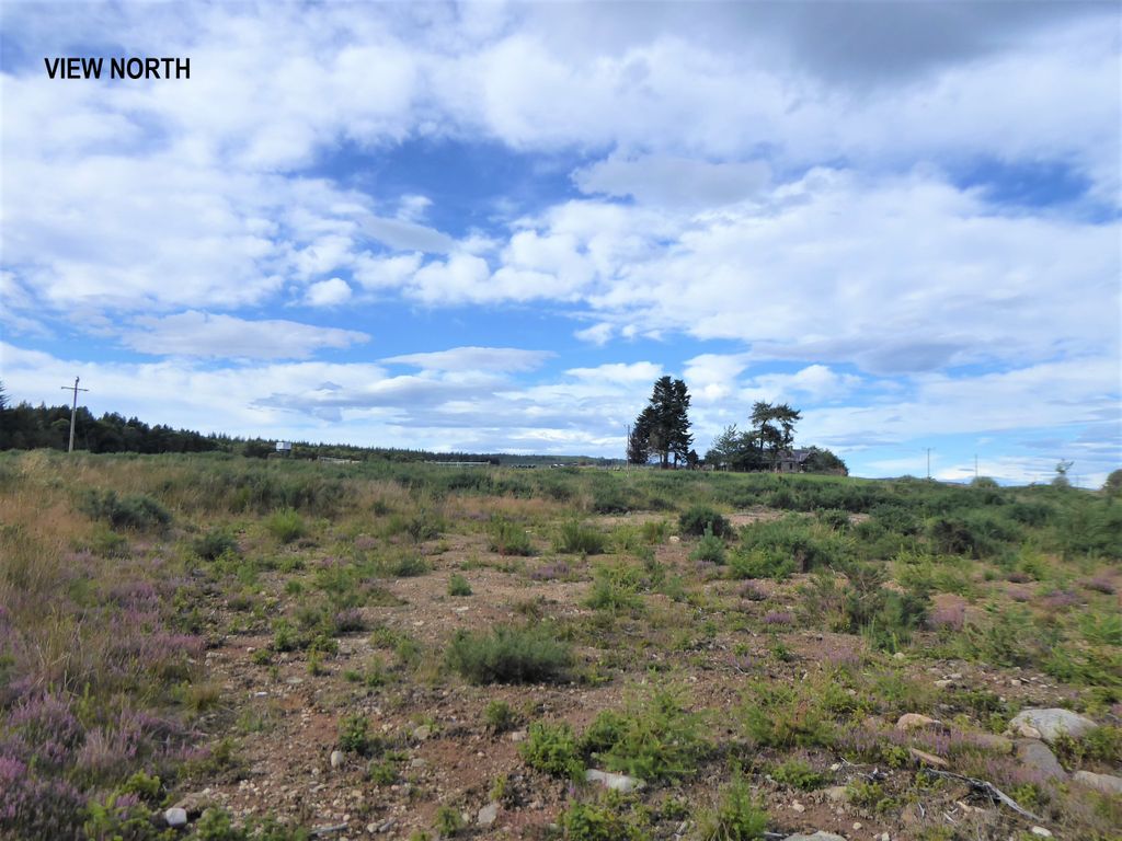 Land for sale in Cossack Wood, Craigellachie AB38, £85,000