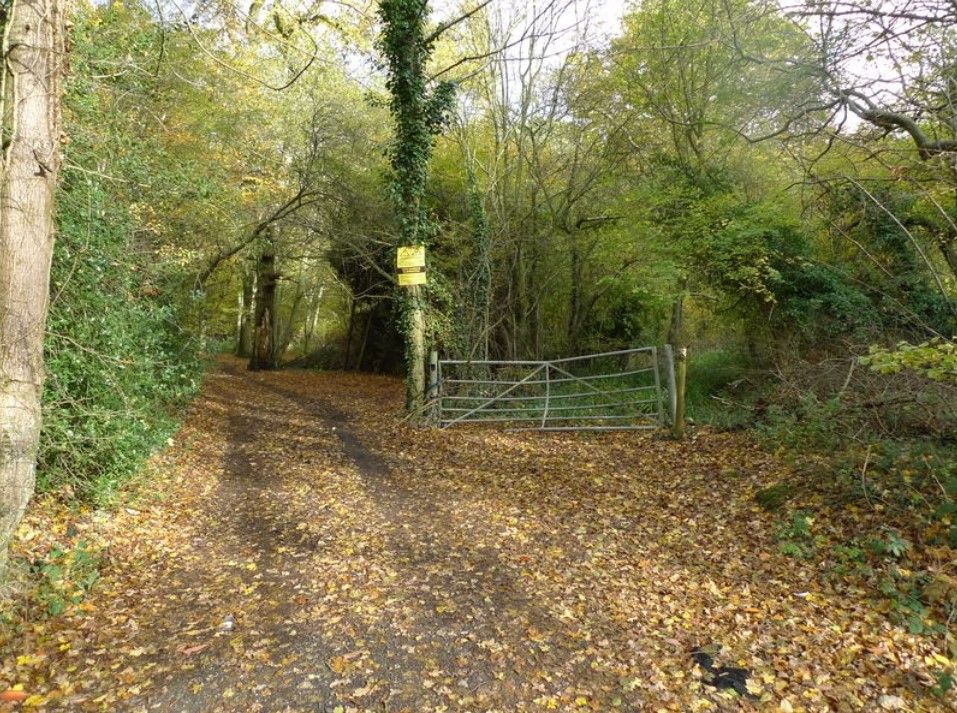 Land for sale in Charlwood, Surrey RH6, £6,000