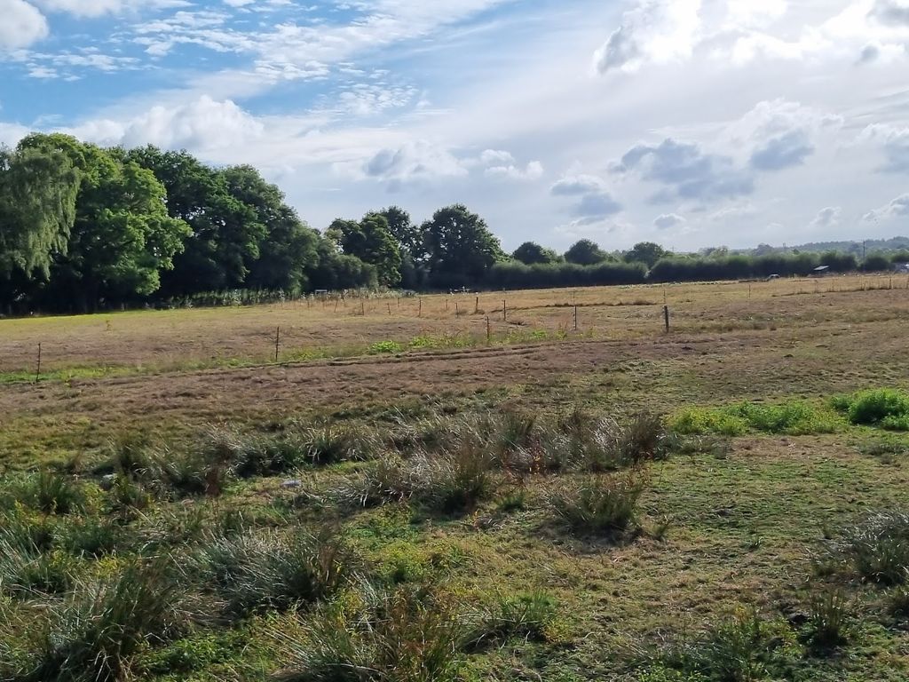 Land for sale in Salisbury Road, Landford SP5, £7,400