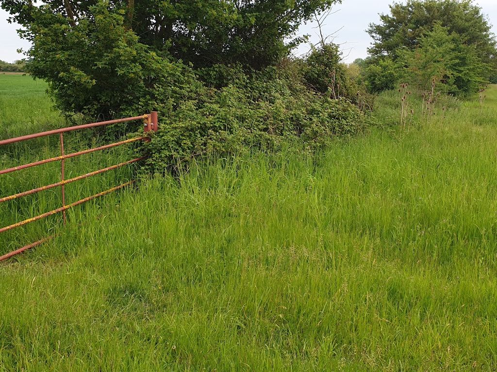 Land for sale in Common Road, Dickleburgh, Dis, Mid Suffolk IP21, £5,900