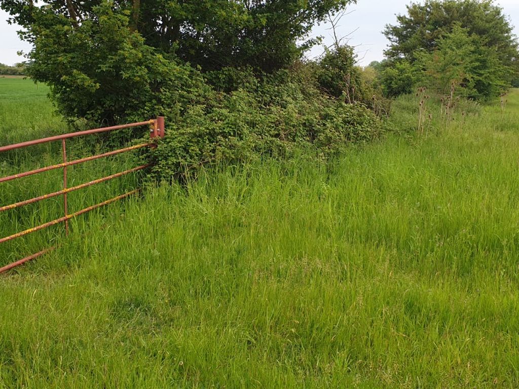 Land for sale in Hall Lane, Dickleburgh, Dis IP21, £9,500