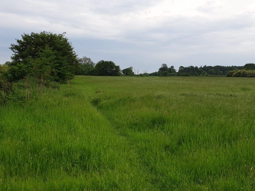 Land for sale in Hall Lane, Dickleburgh, Diss IP21, £6,900