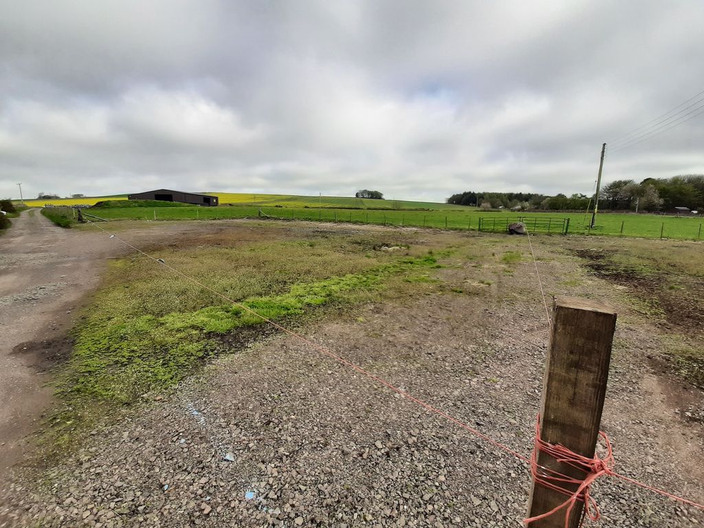 Land for sale in Chapelton Smiddy, Arbroath DD11, £80,000