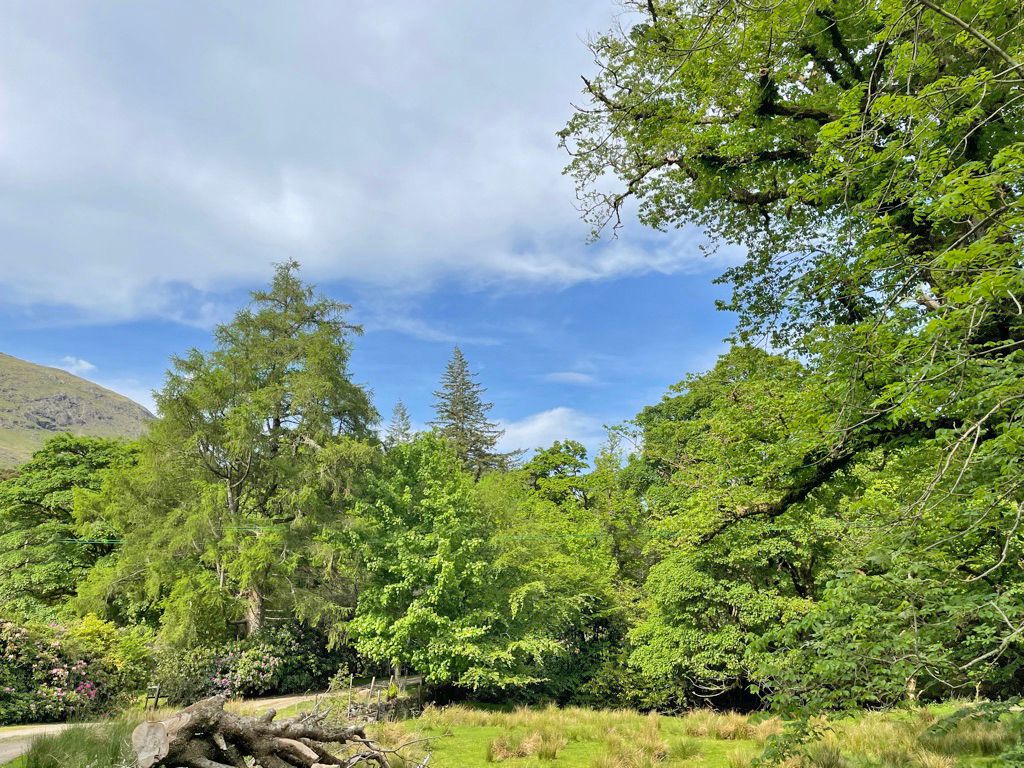 Land for sale in Clovullin, Ardgour PH33, £72,000