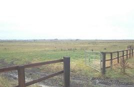 Land for sale in Langwood Hill Drove, Chatteris PE16, £13,500