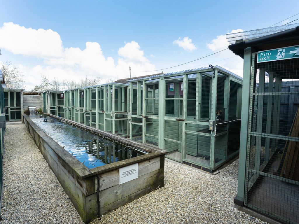 Commercial property for sale in Kennels, Cattery & Equestrian Businesses GL51, Gloucestershire, £950,000