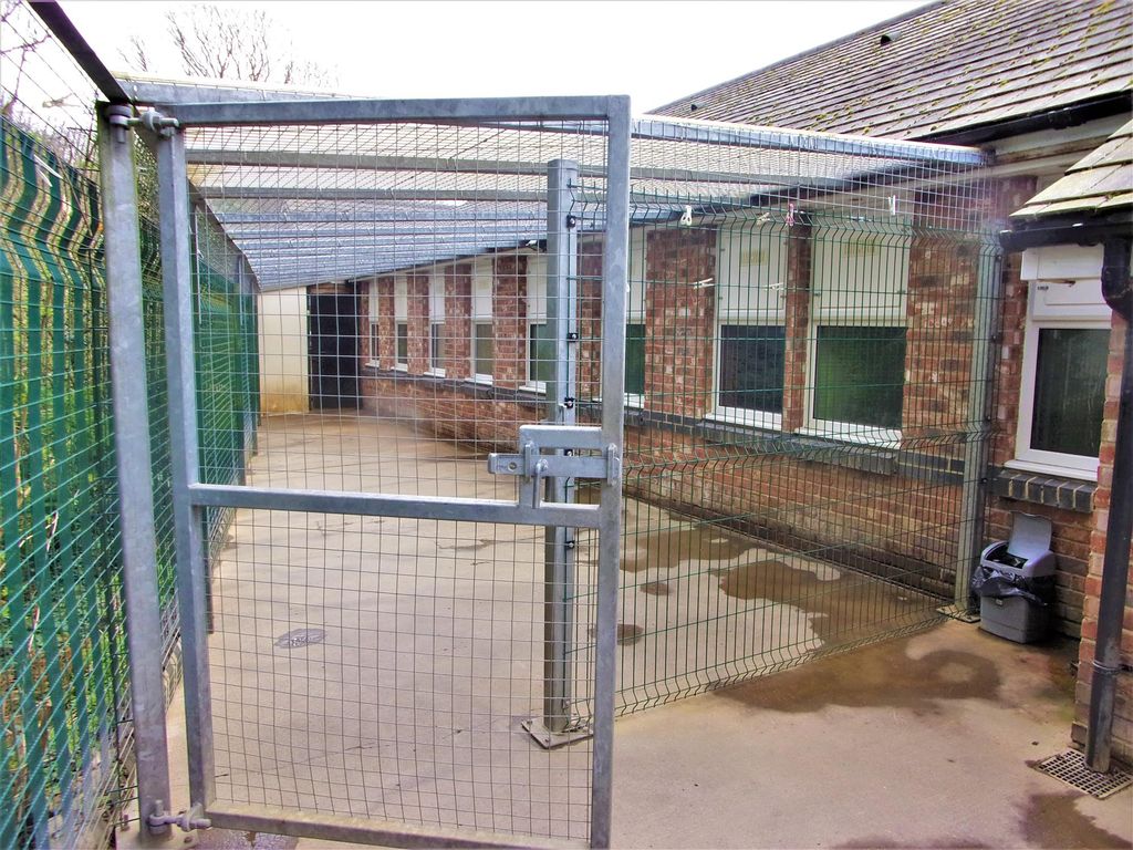 Commercial property for sale in Kennels, Cattery & Equestrian Businesses NE61, Northumberland, £550,000
