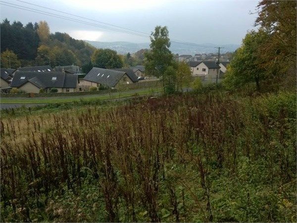 Land for sale in Residential Building Plot, Guthrie Drive, Hawick TD9, £60,000