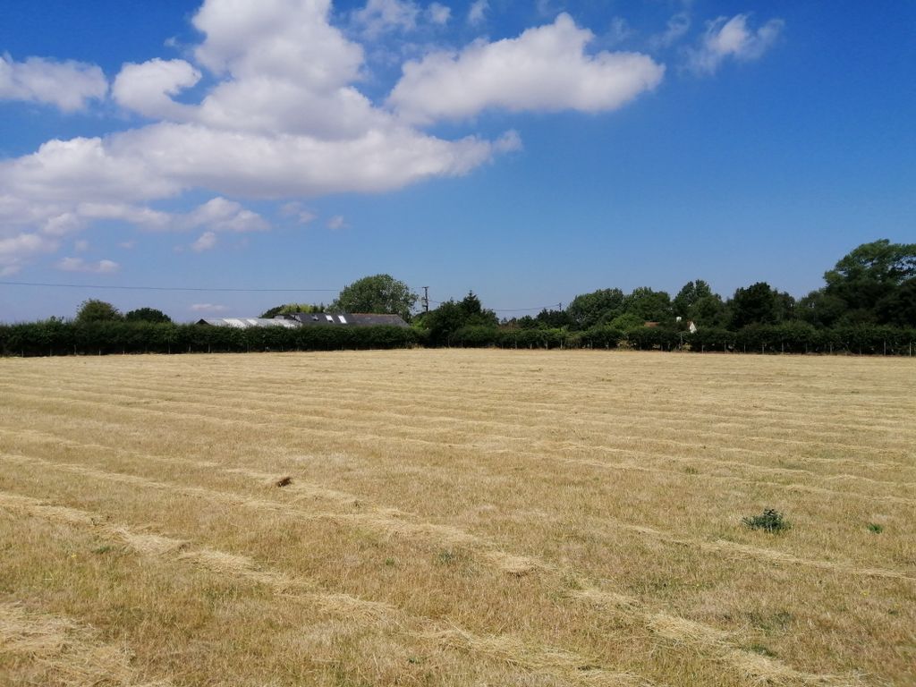 Land for sale in Wass Drove, Westmarsh CT3, £50,000