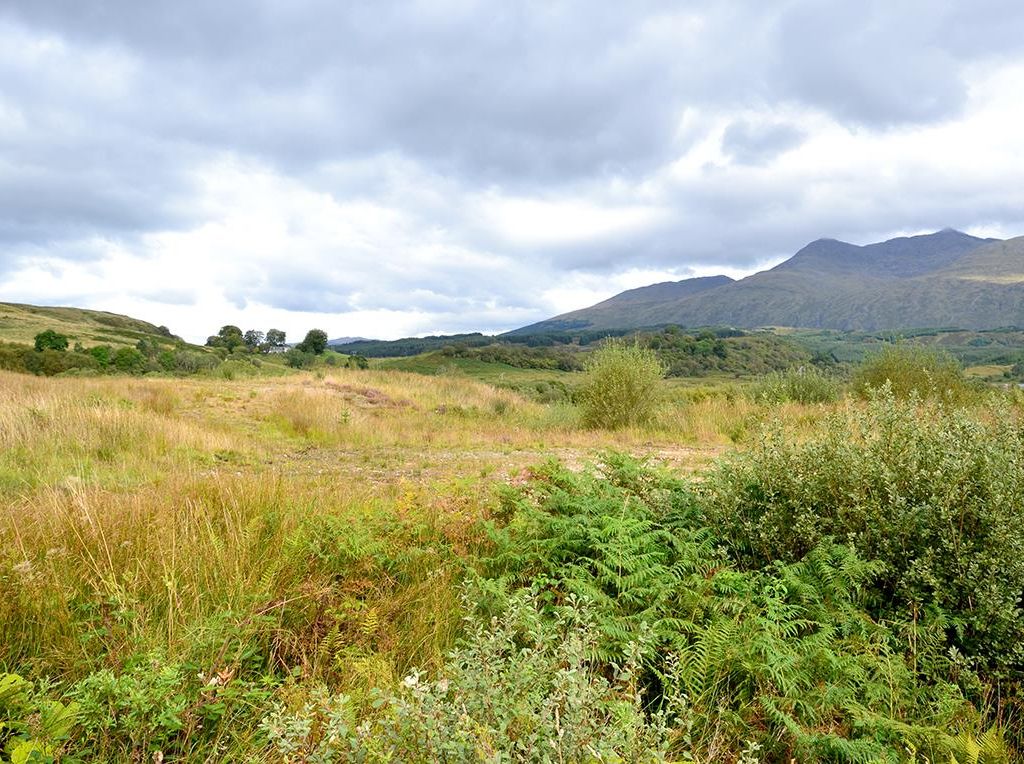 Property for sale in Plot 6, Tromlee Woodlands, Kilchrenan, Taynuilt PA35, £95,000