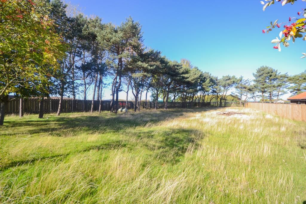 Land for sale in Guisborough Road, Saltburn-By-The-Sea TS12, £325,000
