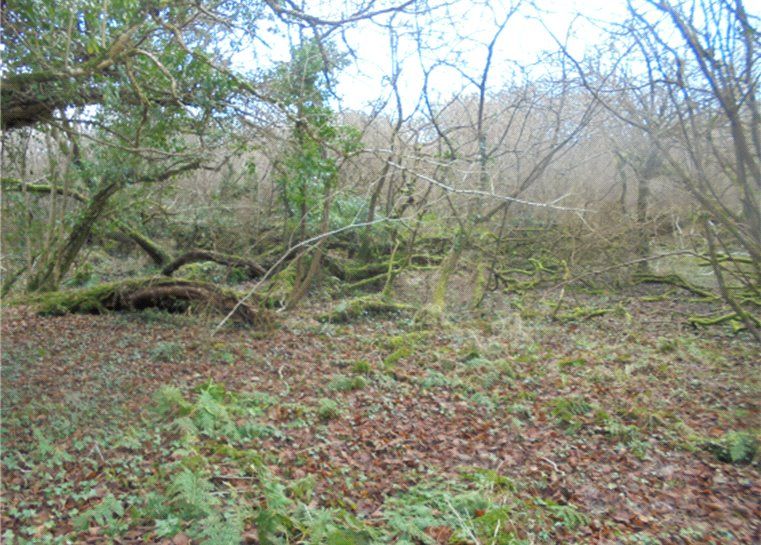 Land for sale in Land At Gaverigan Manor, Indian Queens, St. Columb, Cornwall TR9, £30,000