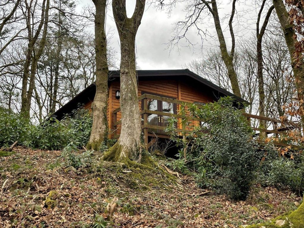 2 bed mobile/park home for sale in Bluebell Wood, Plas Dolguog, Machynlleth SY20, £56,000