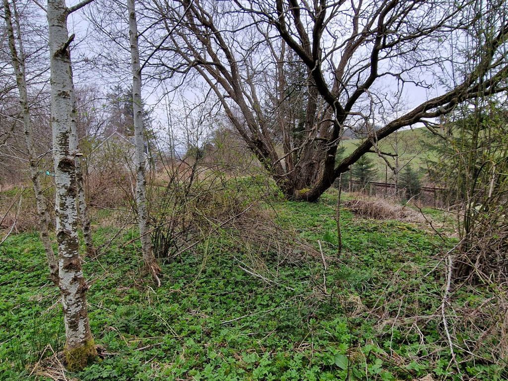Land for sale in Old Military Road, Gartly, Huntly AB54, £50,000