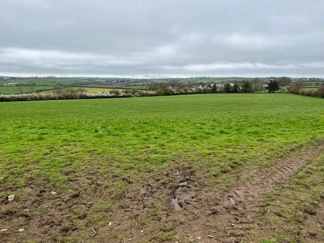 Land for sale in Cwm Cou, Newcastle Emlyn SA38, £324,000
