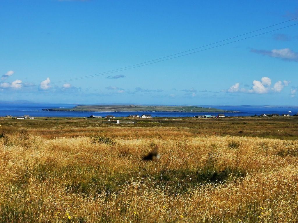 Land for sale in Canisbay, Wick KW1, £70,000