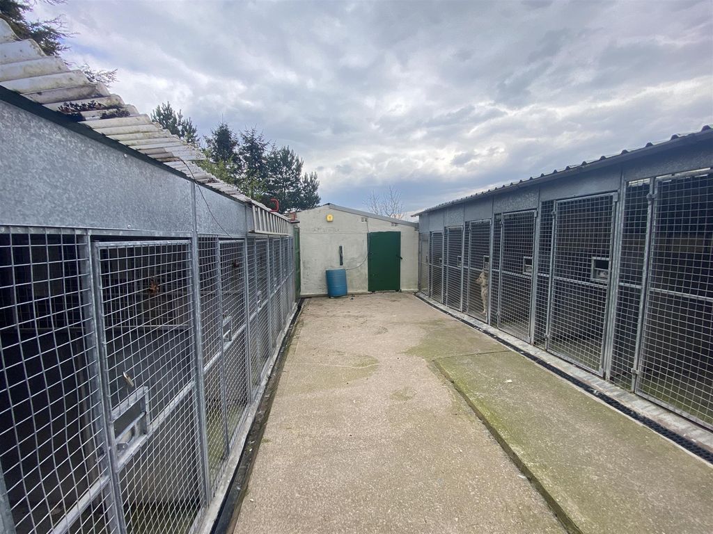 Commercial property for sale in Kennels, Cattery & Equestrian Businesses BB8, Lancashire, £599,950