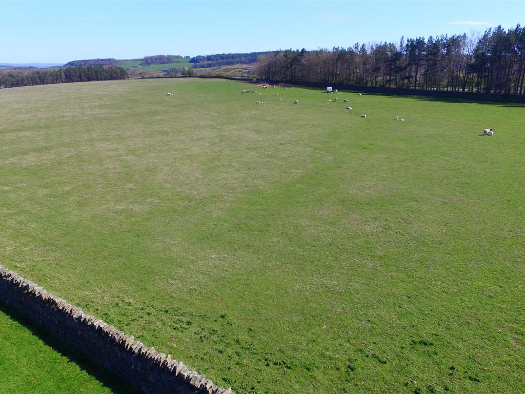 Land for sale in Cornsay, Durham DH7, £87,300