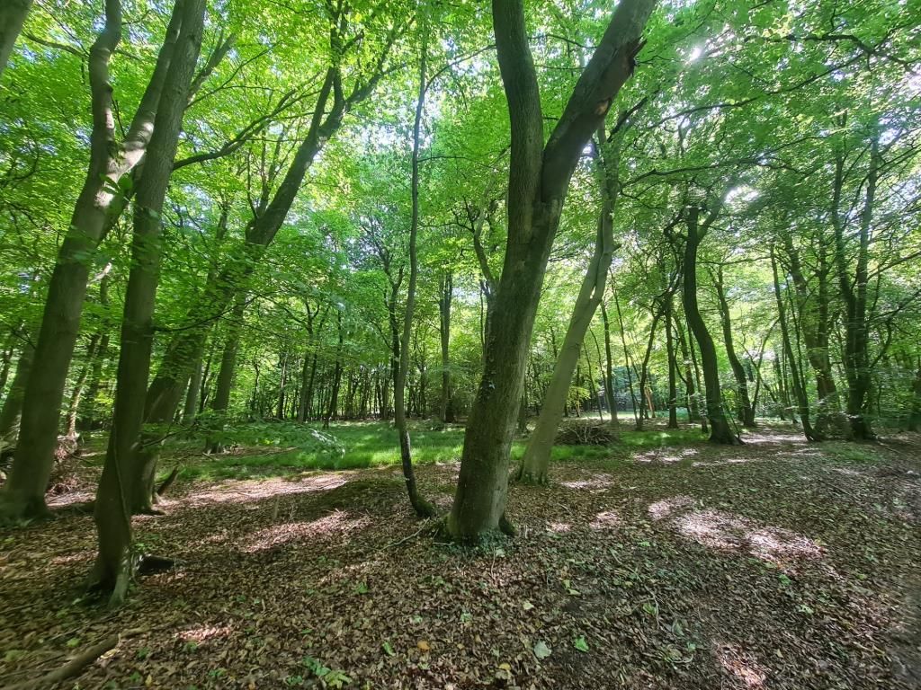 Land for sale in Nottwood, Henley-On-Thame RG9, £18,000