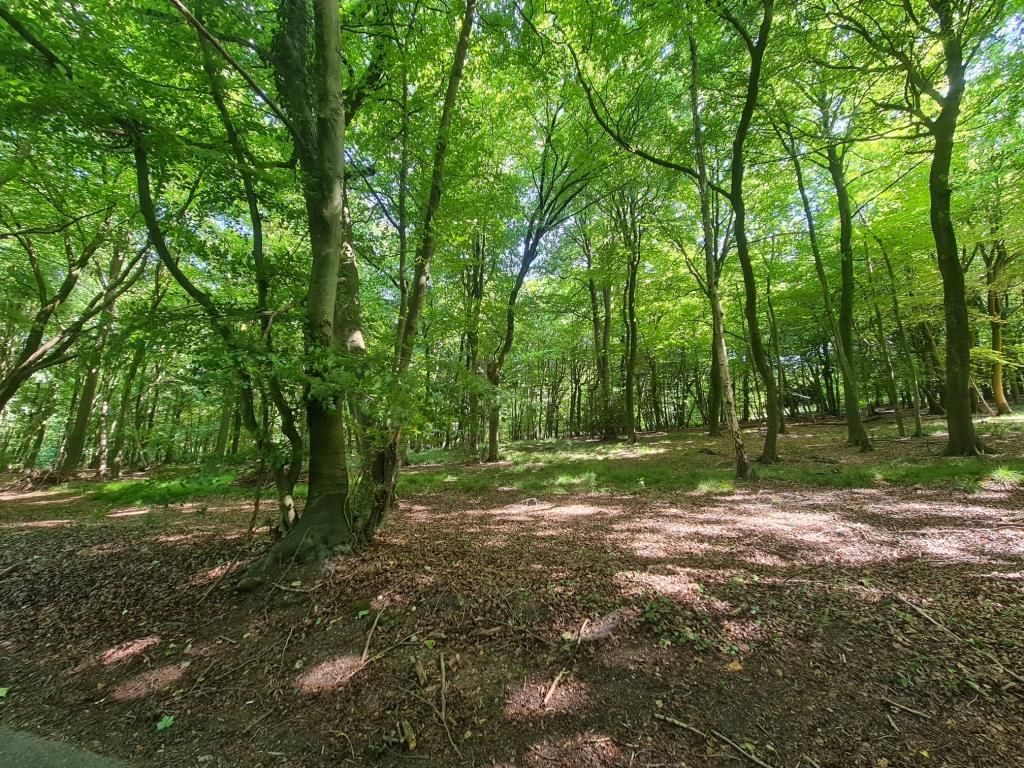 Land for sale in Nottwood, Henley-On-Thame RG9, £18,000
