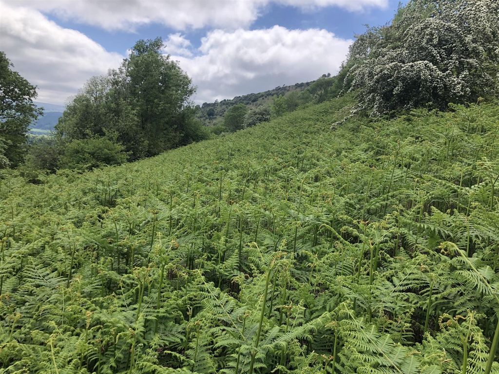 Land for sale in The Crescent, Cwmdu, Crickhowell NP8, £40,000