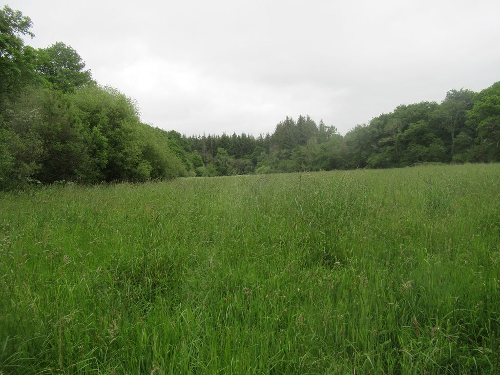 Land for sale in St Giles, Launceston PL15, £220,000