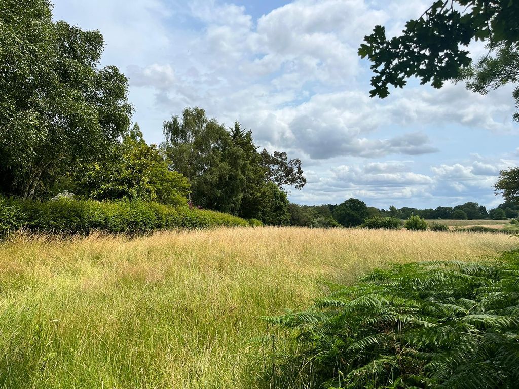 Land for sale in Landford Wood, Salisbury, Wiltshire SP5, £150,000