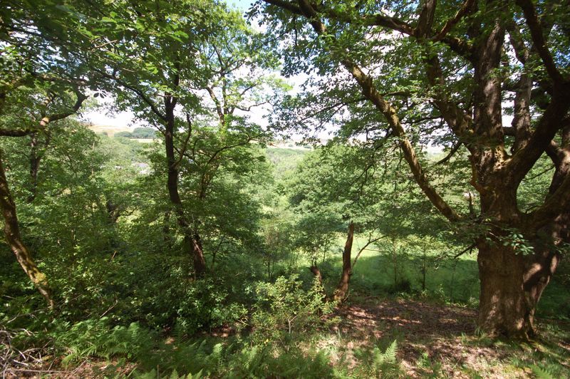 Land for sale in Dulais Road, Seven Sisters, Neath SA10, £115,000