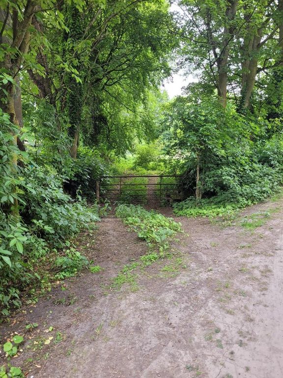 Land for sale in Stockley Grove, Frosterley, Bishop Auckland DL13, £50,000