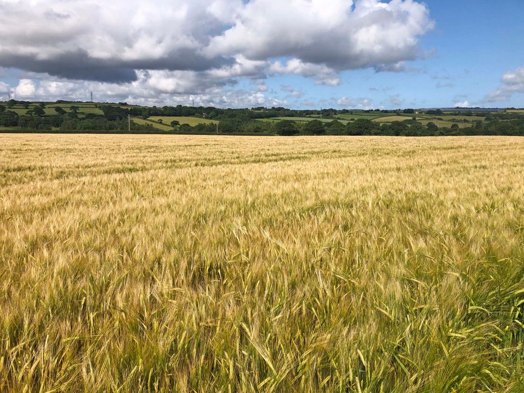 Land for sale in Deveral Road, Fraddam, Hayle TR27, £250,000