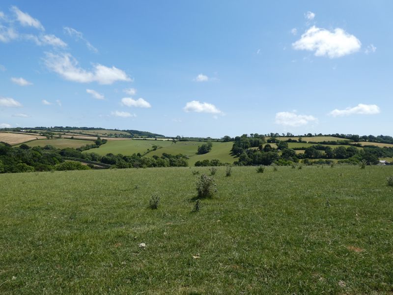 Land for sale in Trewidland, Liskeard PL14, £250,000