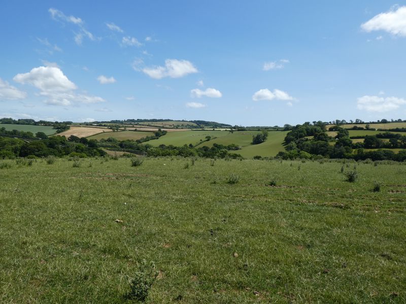Land for sale in Trewidland, Liskeard PL14, £250,000