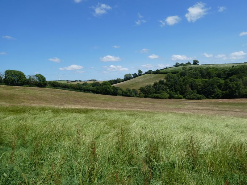 Land for sale in Trewidland, Liskeard PL14, £195,000