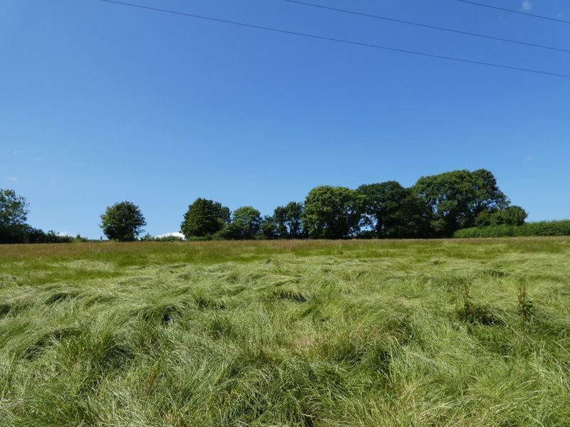 Land for sale in Trewidland, Liskeard PL14, £195,000