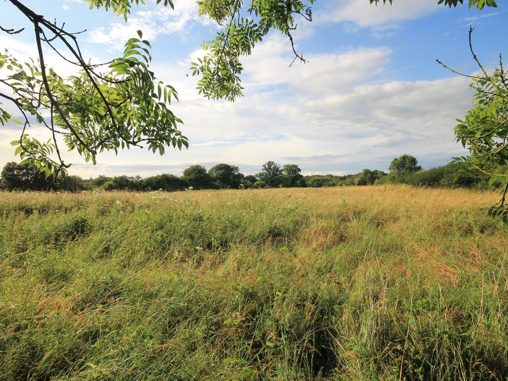 Land for sale in Foulsham Road, Bintree, Dereham NR20, £50,000