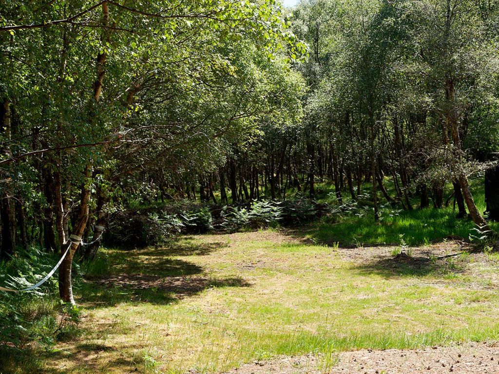 Land for sale in Westbarr Wood, Stirling FK7, £195,000