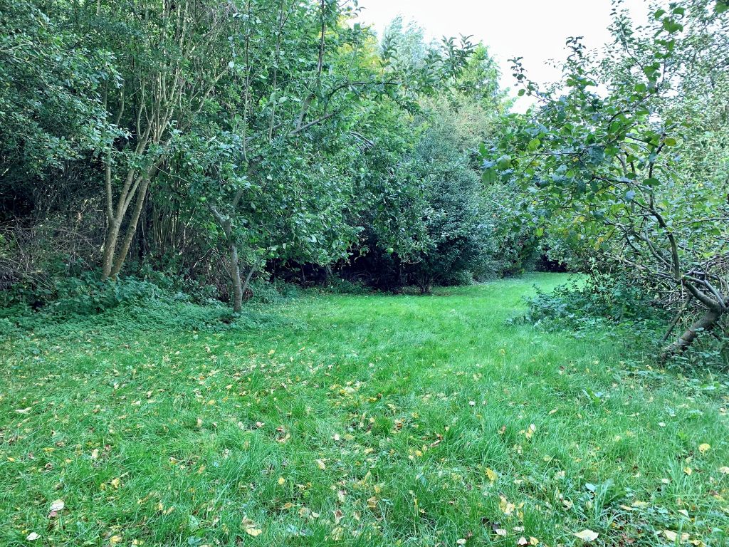 Land for sale in Clipsall Road, Soham, Ely CB7, £75,000