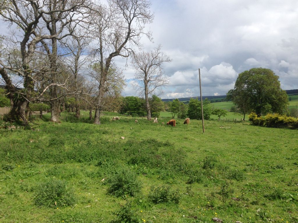 Land for sale in Maggieknockater, Craigellachie AB38, £80,000