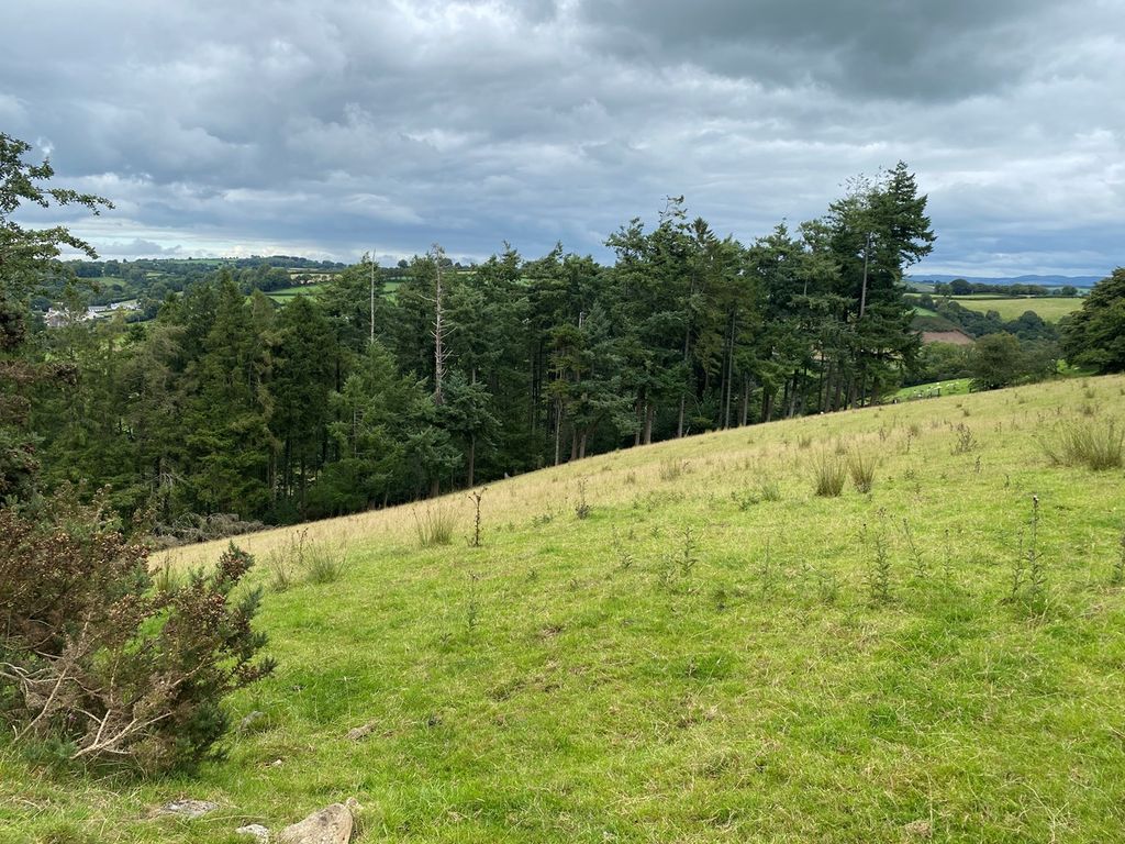 Land for sale in Drefach, Near Lampeter SA40, £175,000