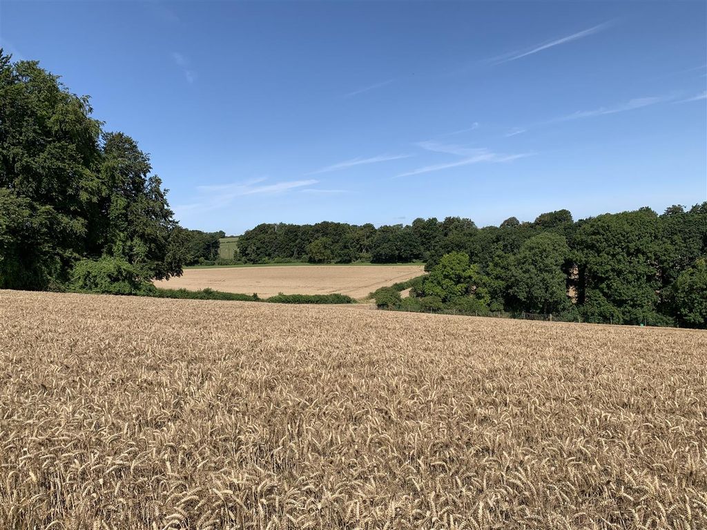 Land for sale in Gorcombe, Thornicombe, Blandford Forum DT11, £160,000
