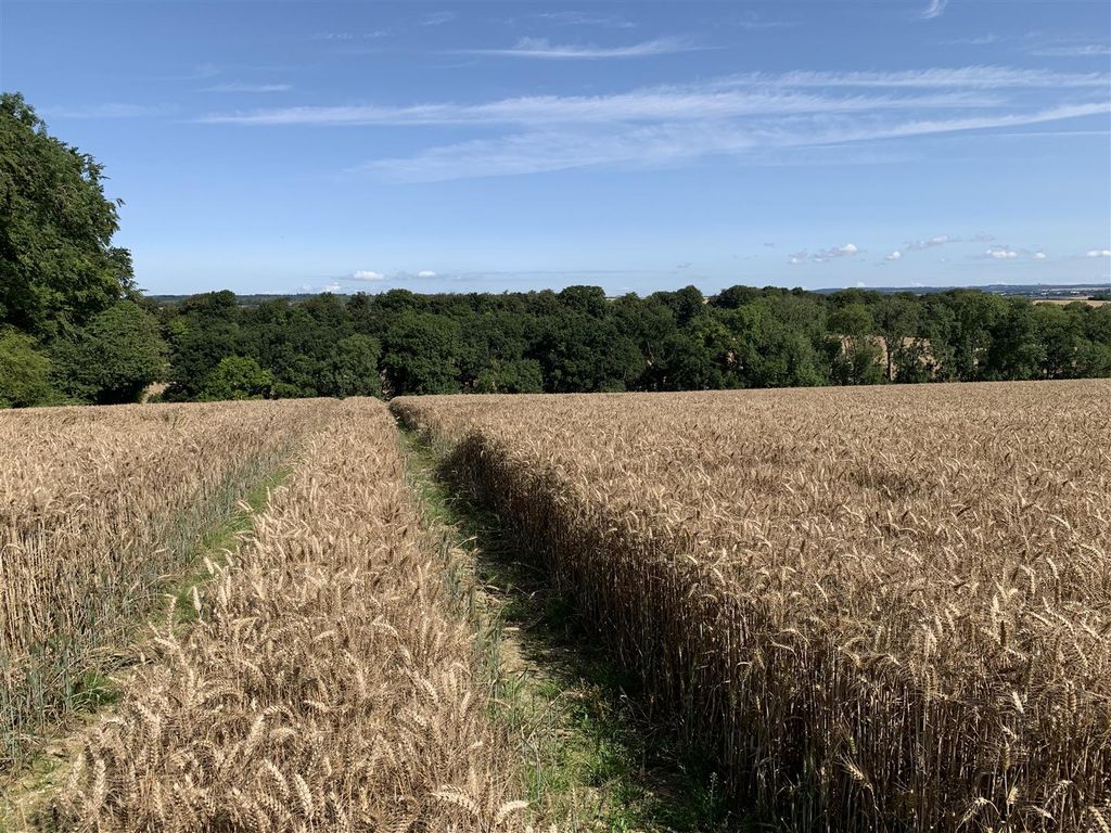 Land for sale in Gorcombe, Thornicombe, Blandford Forum DT11, £160,000