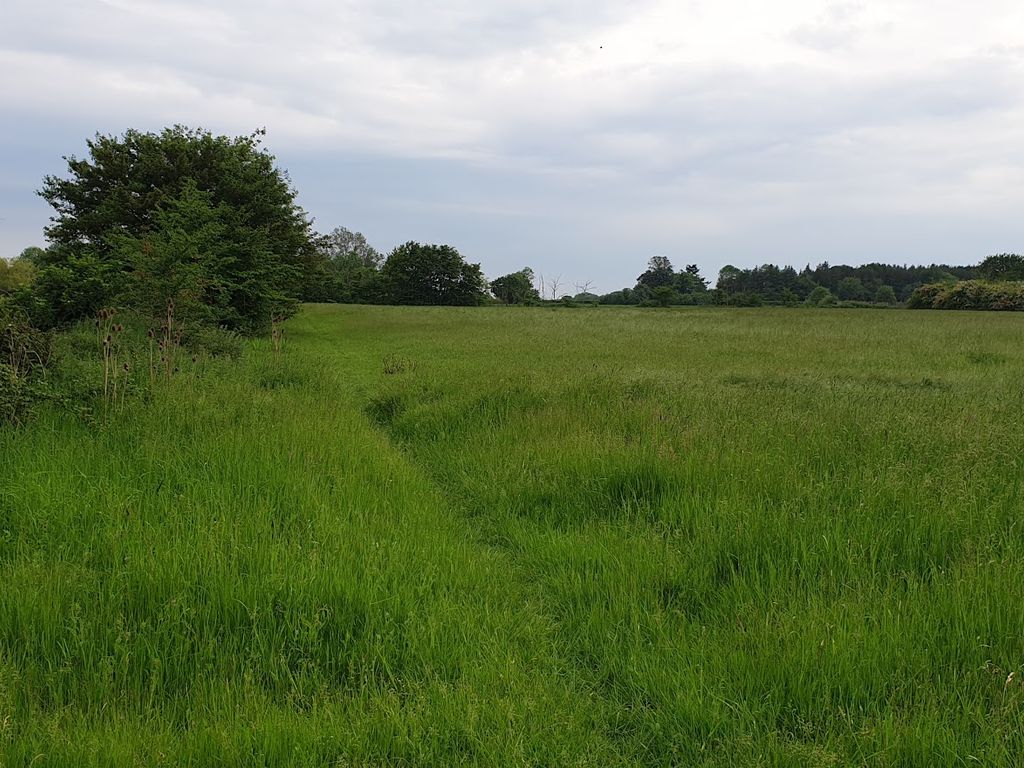 Land for sale in Hall Lane, Diss IP21, £6,800
