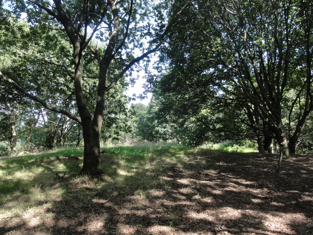 Land for sale in Woodhill Crescent, Horsforth, Leeds LS16, £65,000
