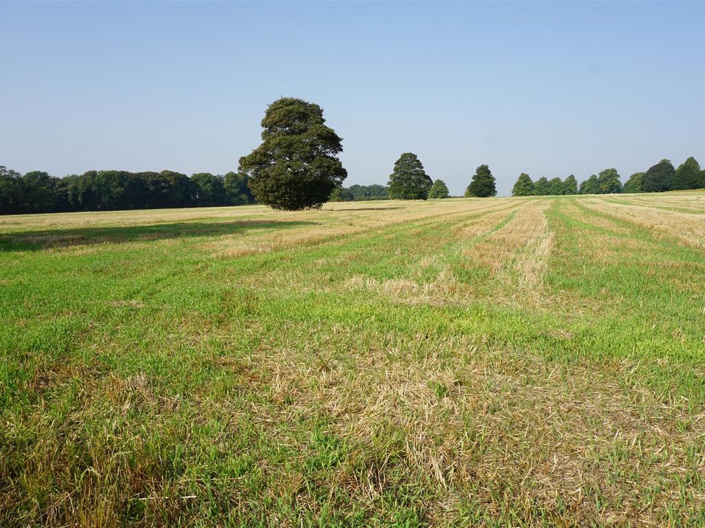 Land for sale in Rotherham Road, Barlborough, Chesterfield S43, £1,220,000