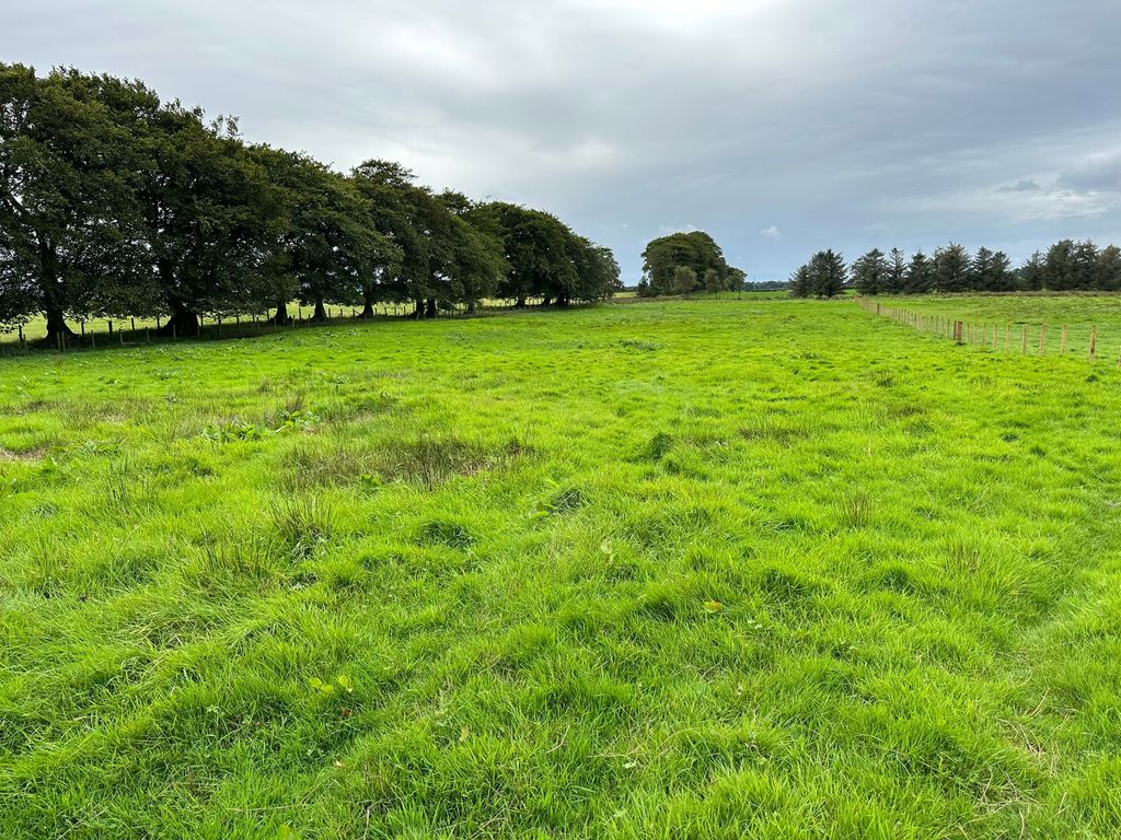 Land for sale in Blackyett Mains, Kirtlebridge DG11, £30,000