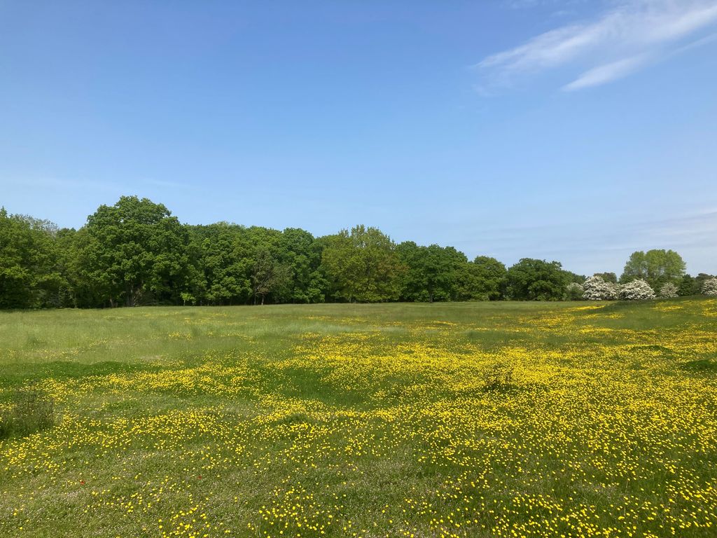 Land for sale in Cothill Road, Abingdon OX13, £250,000
